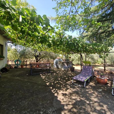 La Casa Di Giulia Villa บรอนเต ภายนอก รูปภาพ