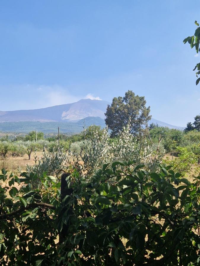 La Casa Di Giulia Villa บรอนเต ภายนอก รูปภาพ
