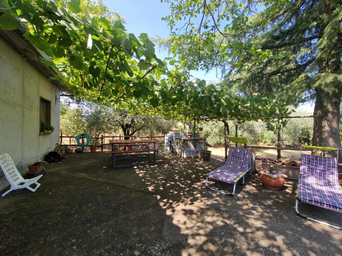 La Casa Di Giulia Villa บรอนเต ภายนอก รูปภาพ