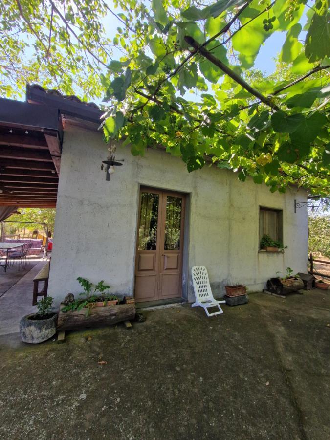La Casa Di Giulia Villa บรอนเต ภายนอก รูปภาพ